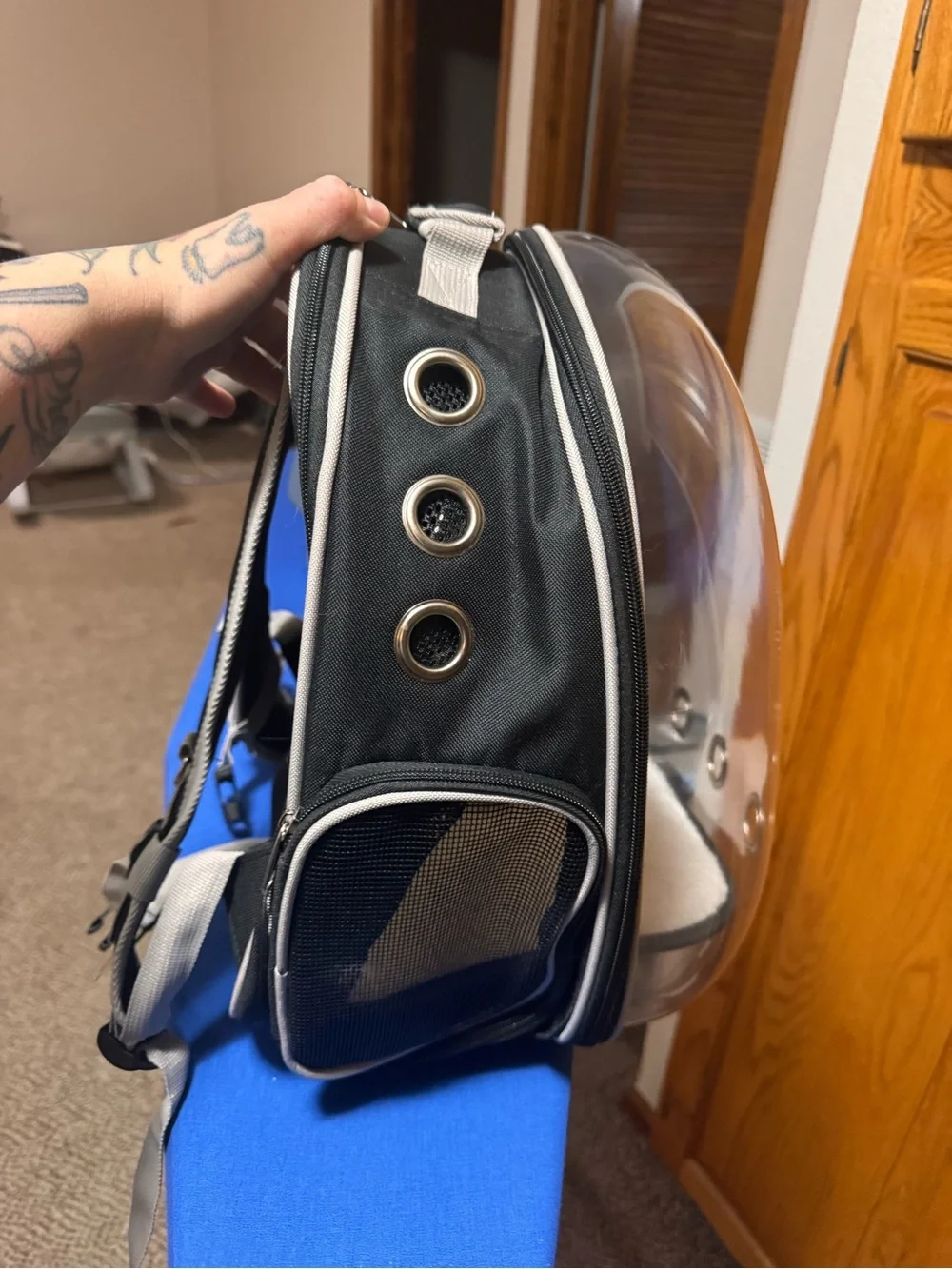 Transparent Bubble Small Pet Carrier and Harness